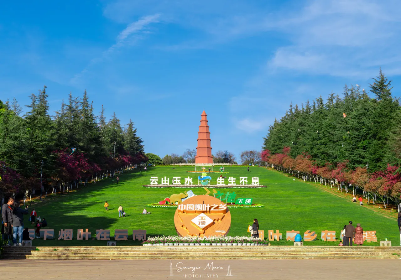 红塔山的春色，沿草坡铺开